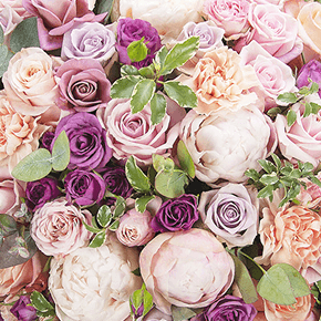 Kliento profilio nuotrauka